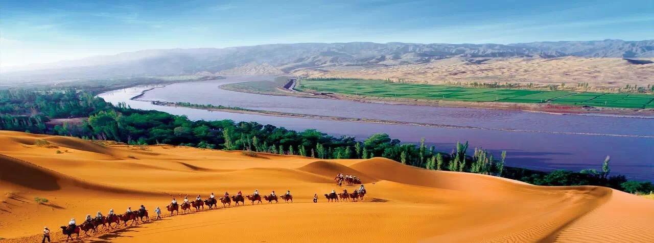 董草原最新動(dòng)態(tài)，時(shí)代浪潮中的矚目焦點(diǎn)人物