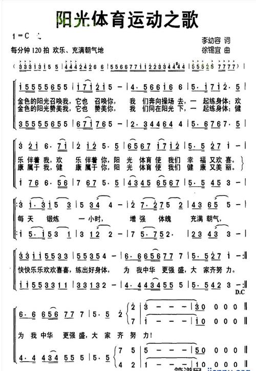 排球比賽歌曲，賽場(chǎng)上的獨(dú)特魅力與激情旋律