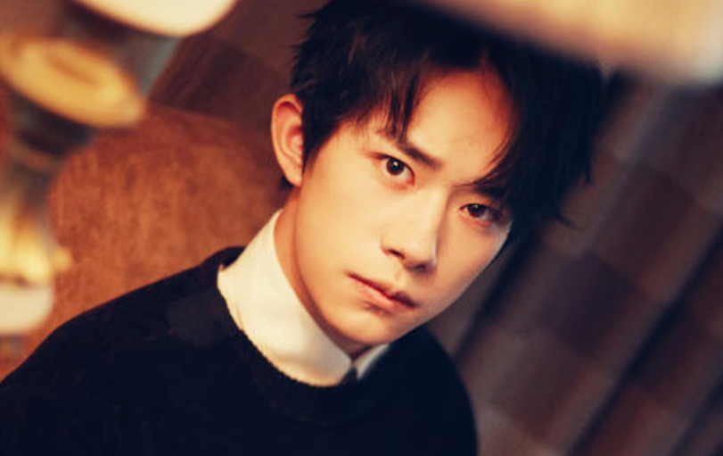 明星劉，閃耀之路與無盡魅力之旅