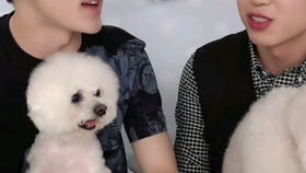 付姓明星的星光日常，友情、陪伴與溫馨時光