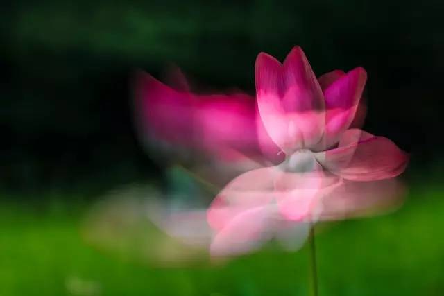 最新意境清，探索清逸之美的無限可能