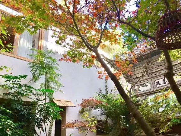 最新一木攻略深度解析，觀點與策略探討