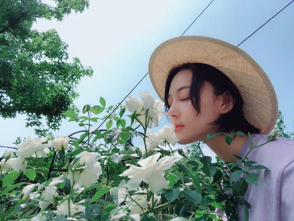 鍋碗瓢盆間的溫暖家園，尋找做飯阿姨，最新招聘信息與招募故事