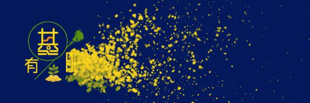 洞悉股市最新動態(tài)，把握投資機會，引領(lǐng)投資潮流