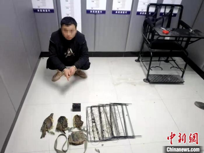 最新電煤捕獵竹雞視頻,最新電煤捕獵竹雞視頻，一場(chǎng)自然美景的探索之旅，心靈平靜的征途