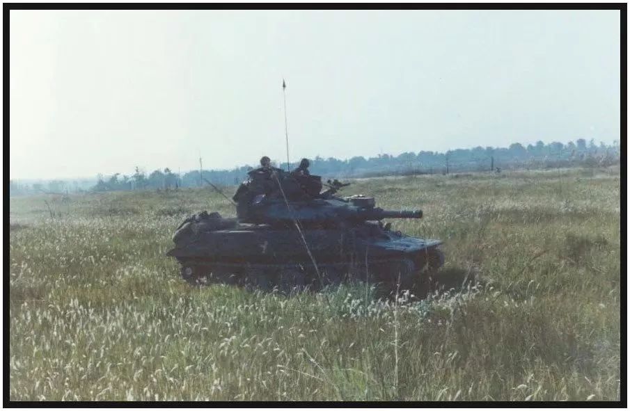 越南戰(zhàn)爭最新動態(tài)，變化、學習與自信的力量展現(xiàn)新態(tài)勢