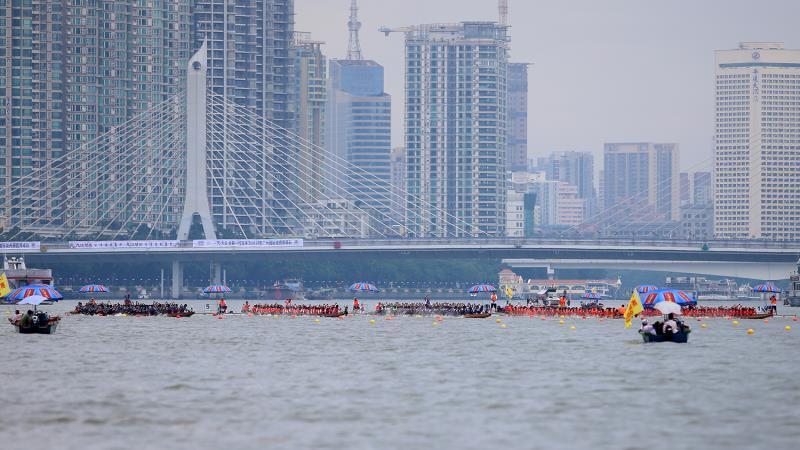 2017廣州龍船比賽,2017廣州龍船比賽，一場自然美景的探索之旅