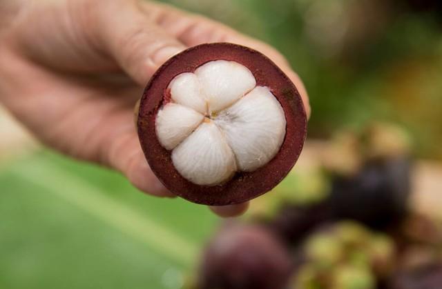 山竹價(jià)格行情,山竹情緣，一段關(guān)于價(jià)格與友情的溫馨故事