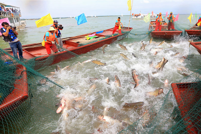 捕魚季盛況,捕魚季盛況，巷弄深處的漁韻小店
