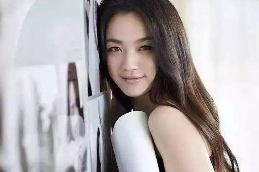 繼承人演員，演繹傳奇，星途閃耀