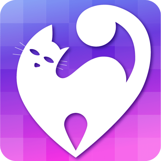 快貓最新地址探秘，小巷深處的獨(dú)特風(fēng)味揭秘