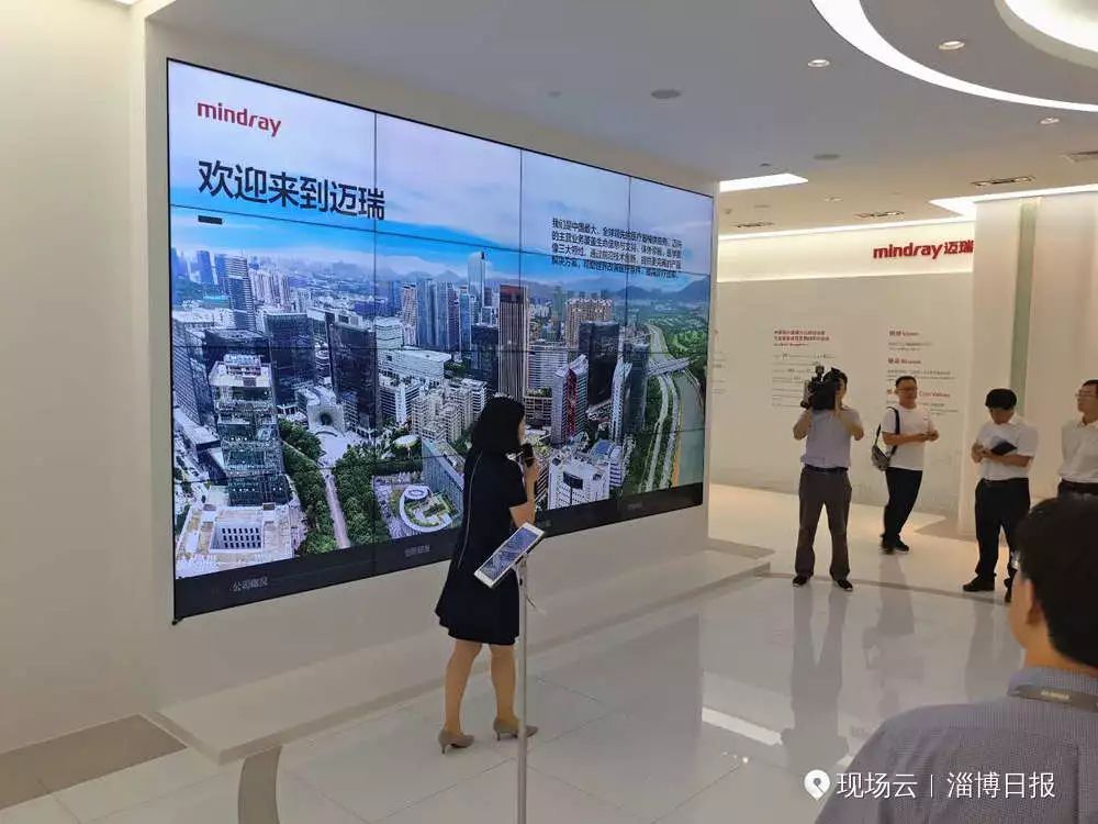 深圳邁瑞最新招聘信息匯總與觀點解析