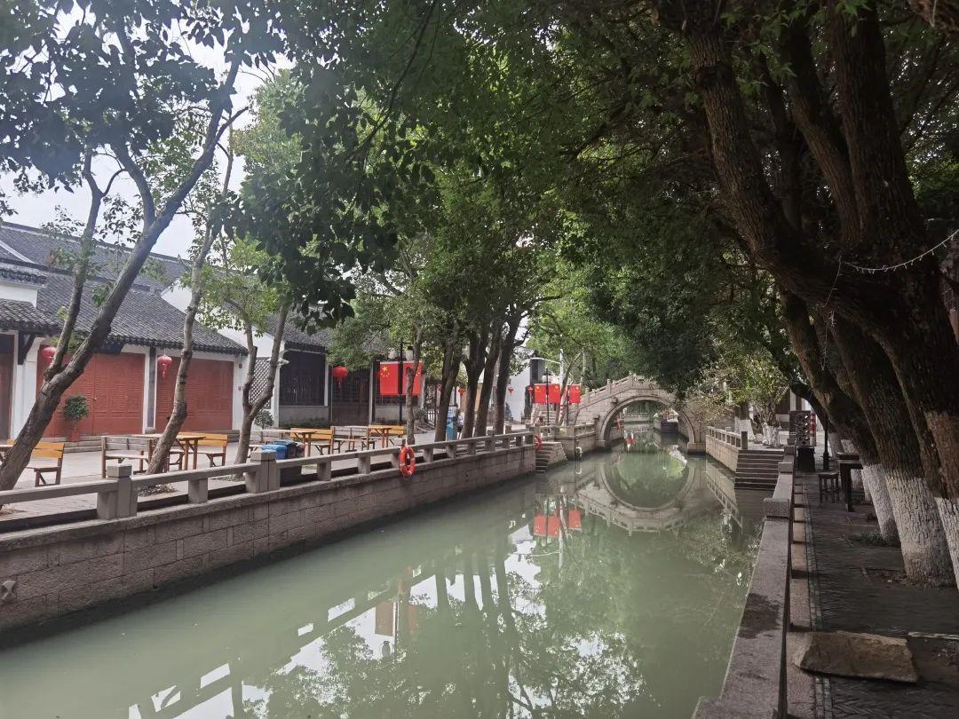 青浦練塘規(guī)劃最新消息,青浦練塘規(guī)劃最新消息，觀點(diǎn)論述