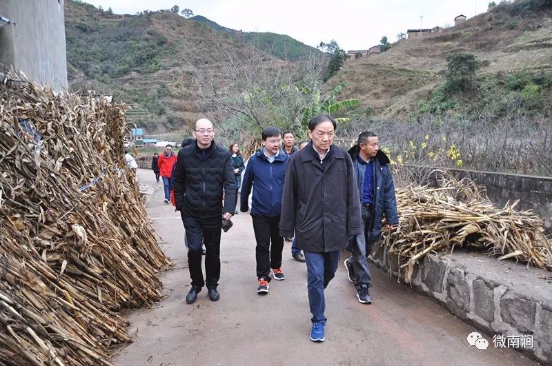 云南彝良扶貧工作取得最新進(jìn)展