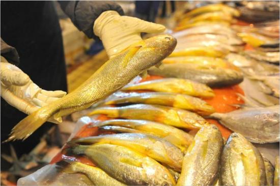 全面解析鯽魚養(yǎng)殖周期與上市時(shí)機(jī)，從養(yǎng)殖到上市需多久？