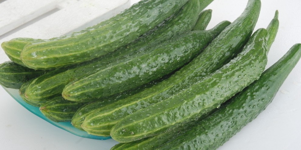 黃瓜價(jià)格背后的自然美景探索之旅