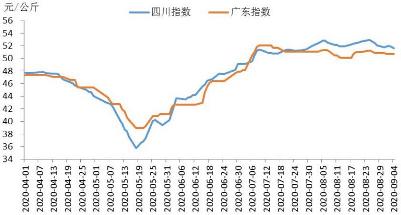 今日豬肉價格走勢圖，市場分析、影響因素及最新動態(tài)
