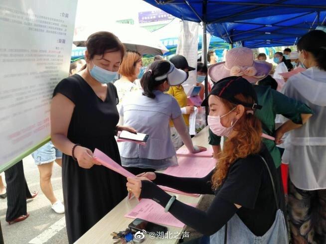 陽(yáng)新招聘信息，科技驅(qū)動(dòng)，工作觸手可及，引領(lǐng)未來(lái)發(fā)展之路