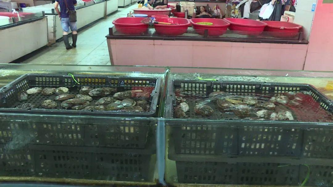 青蟹價(jià)格,青蟹價(jià)格——科技引領(lǐng)未來(lái)，體驗(yàn)智能新紀(jì)元