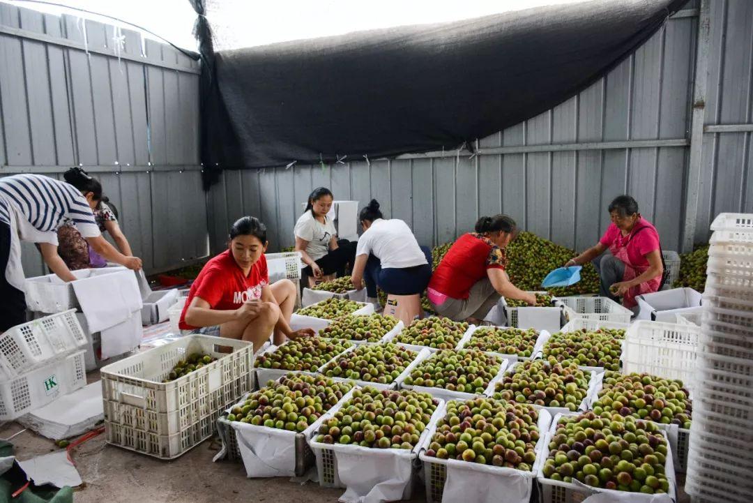 云南擬上市，進展、背景及影響分析