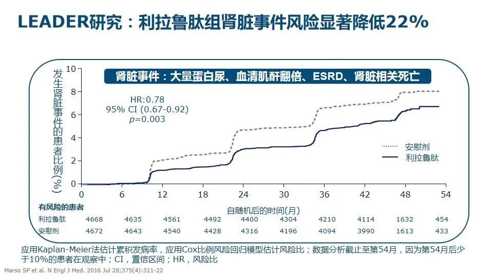 美國腎病研究最新進展概覽