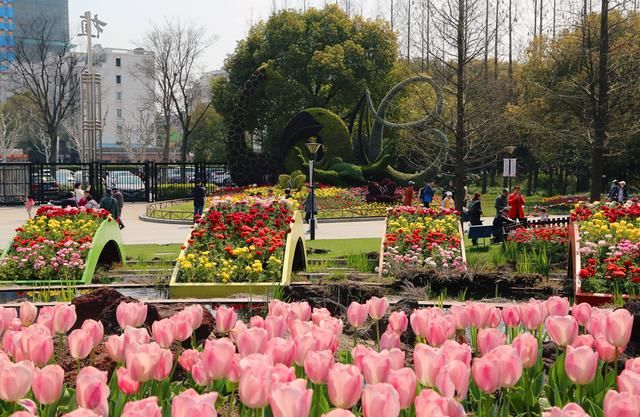 最新園藝作品打造指南，一步步引領(lǐng)你構(gòu)建美麗花園