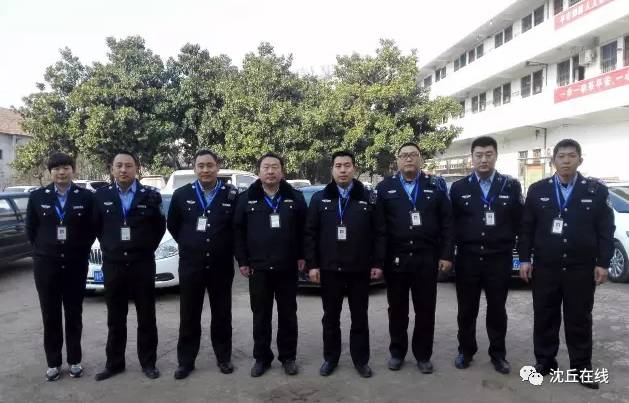 沈丘最新案情深度解析，揭開真相的神秘面紗！