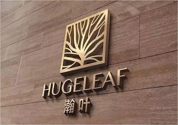 公司被上市公司收購后開啟新征程，迎接新機遇的挑戰(zhàn)