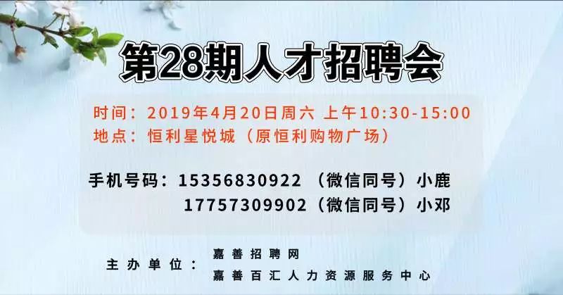 嘉善最新招聘信息概覽，職業(yè)發(fā)展的理想選擇地