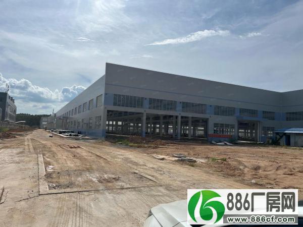 惠州最新動態(tài)，城市的崛起及其影響