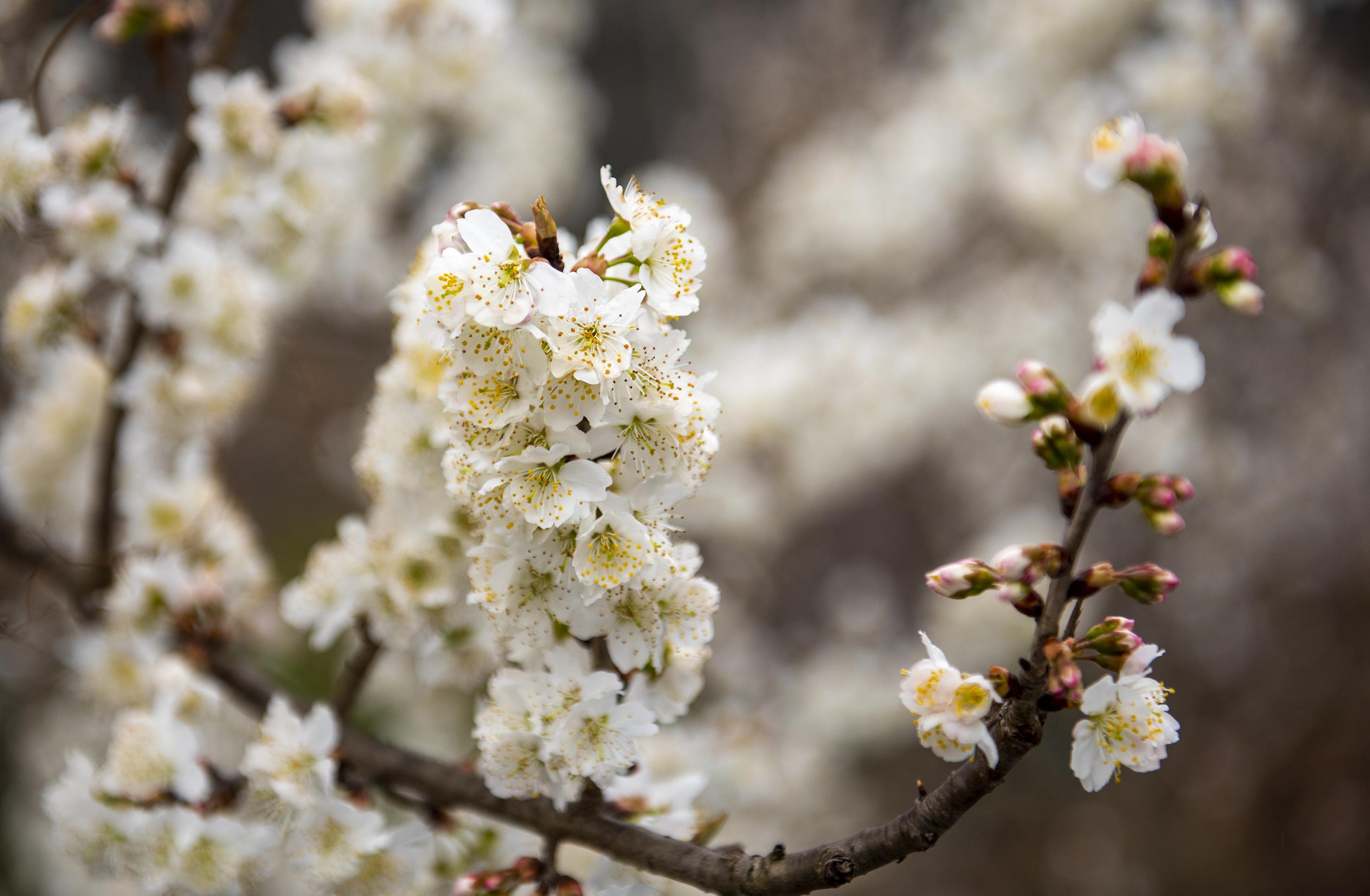 貴州夾巖水庫實景圖，水韻人生勵志篇章