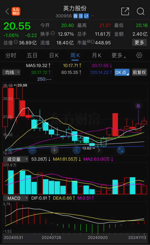 英力股票深度解析，挖掘投資價(jià)值