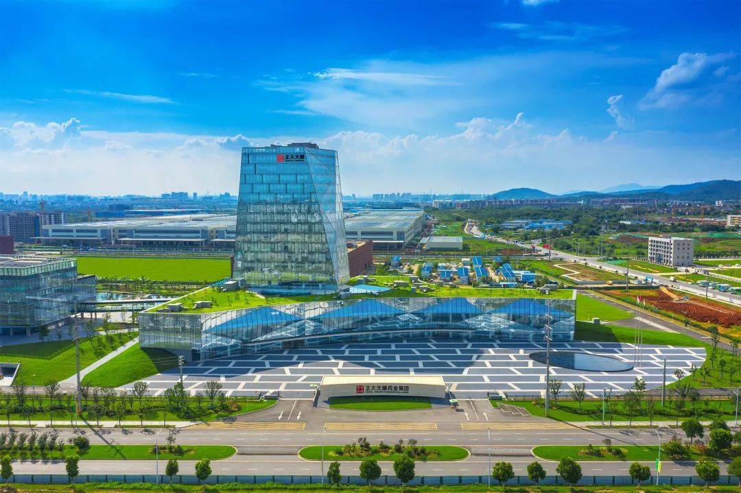 正大天晴是否是上市公司？