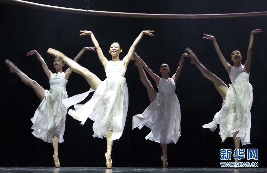 蘇州舞蹈演員，閃耀舞臺(tái)的璀璨之星?