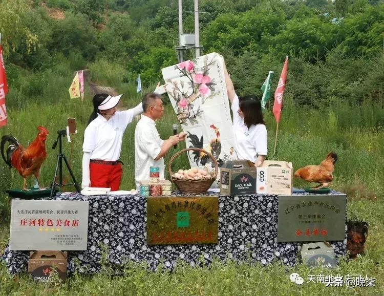 莊河電視臺(tái)綜合頻道，地方傳媒的翹楚典范