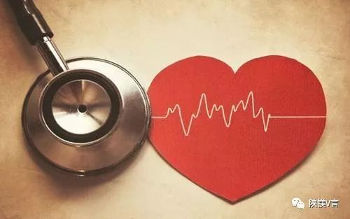 最新可降解支架資訊，自然美景的心靈之旅探索者