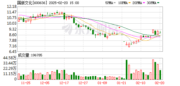 新文化股票，深度探討投資價(jià)值與未來(lái)發(fā)展前景