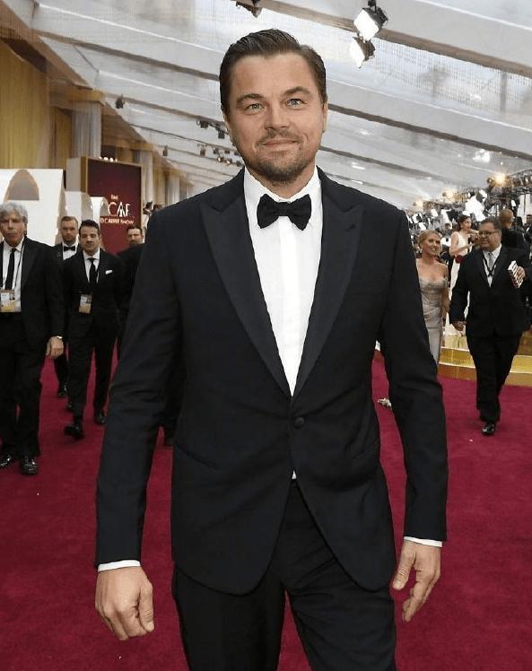 小李子最新動態(tài)，時代印記下的閃耀巨星