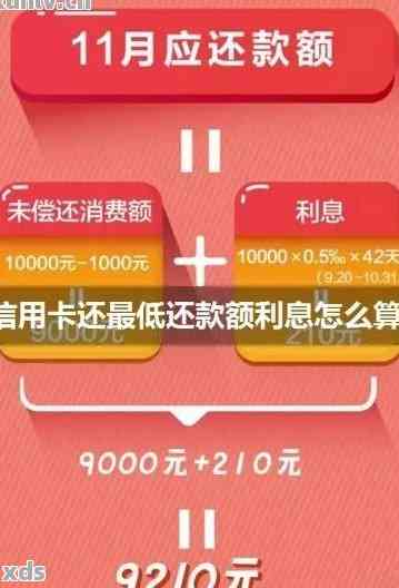 最新最低還款額度深度解析及實(shí)用建議
