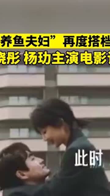 夫妻搭檔電影，銀幕與心幕間的深情演繹之旅