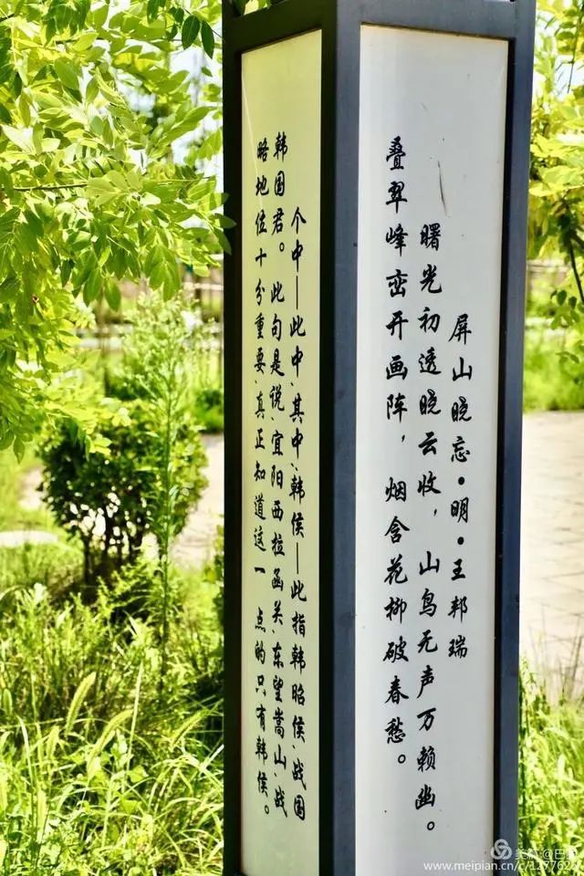 洛陽(yáng)蓮莊最新動(dòng)態(tài)更新，最新消息與進(jìn)展