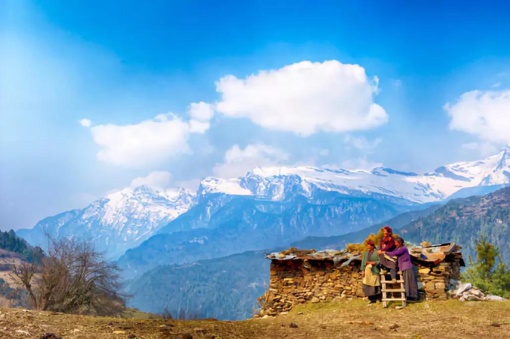 時代回響與領(lǐng)域變革，最新廣告語揭秘