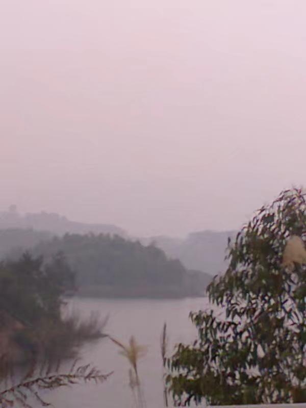 仁壽黑龍灘動態(tài)資訊，小巷深處的獨特風(fēng)味探索