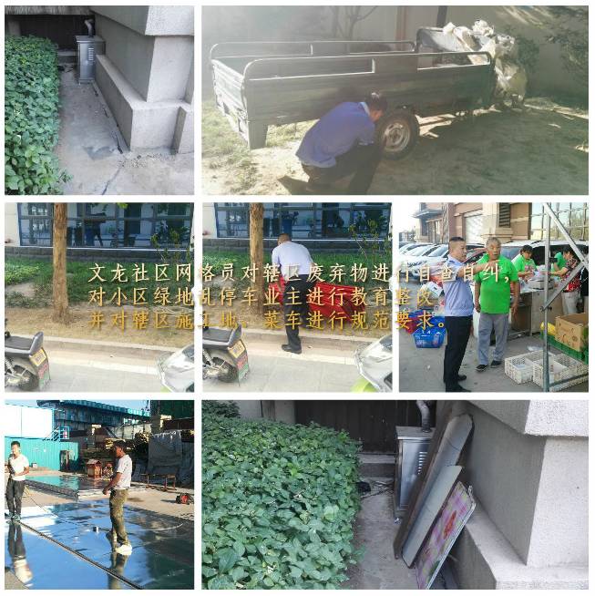 泰州郊野公園最新動態(tài)揭秘，綠意盎然，花開滿園