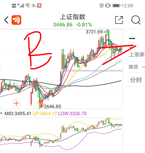 狐貍行情走勢探索之旅，自然美景中的奧秘與機遇