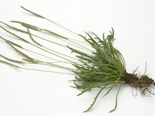 三寧尿素最新報價，變化中的學習，成就感的源泉