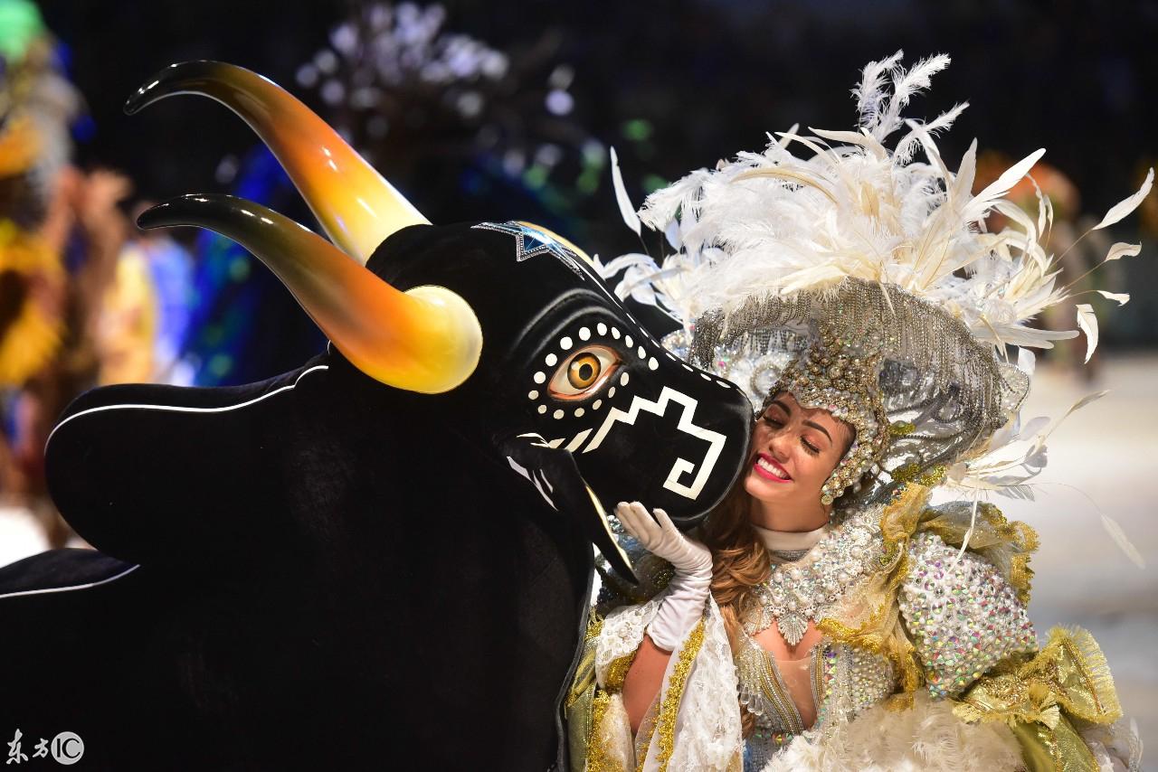 上下娛樂最新版，變化中學(xué)習(xí)，成就自信與夢想之路