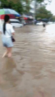 最新航班動(dòng)態(tài)，小巷深處的航空夢與美食探索之旅