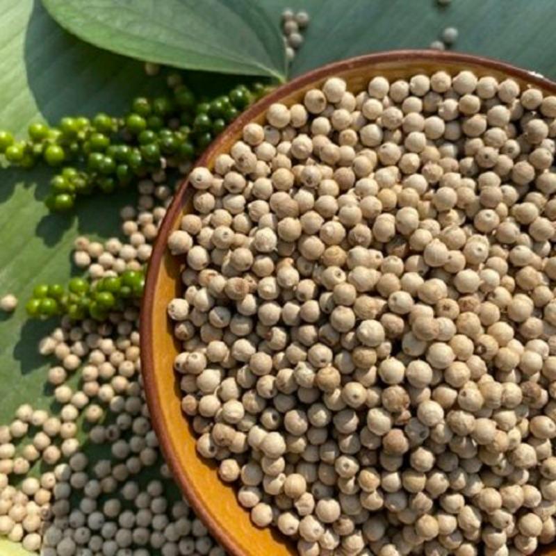 海南白胡椒最新市價,海南白胡椒最新市價，科技引領(lǐng)生活，白胡椒的新時代來臨