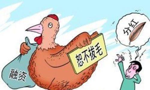 股票分紅一覽表，愛(ài)的傳遞與股市紅利的雙重呈現(xiàn)